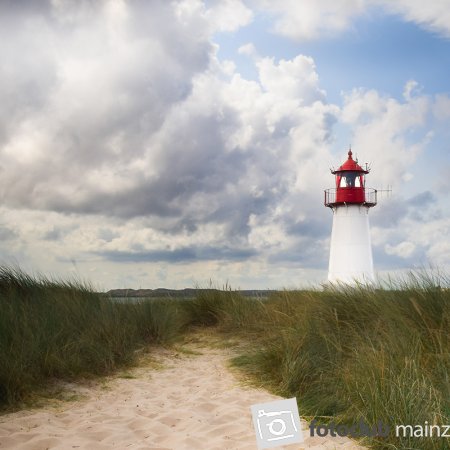 2024 AWO-Ausstellung Moni Besier: &quot;Sylt&quot;