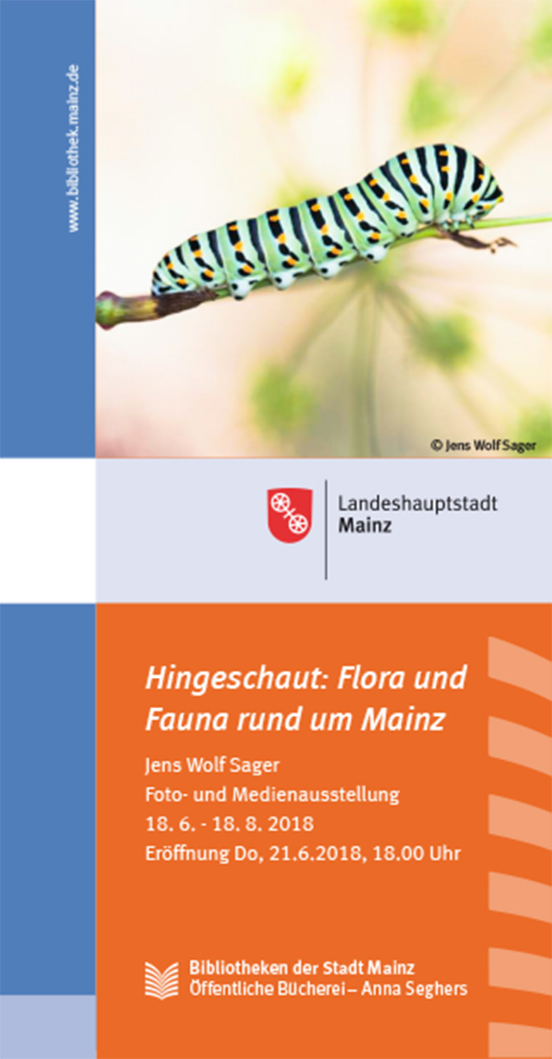 Hingeschaut: Flora und Fauna rund um Mainz