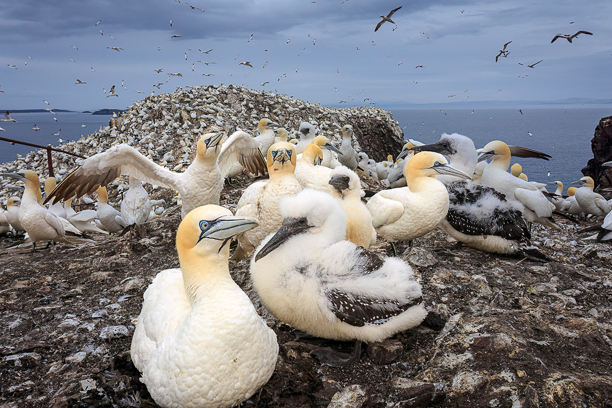 Vortragsabend: Gabi Reichert – Naturfotografie macht glücklich!