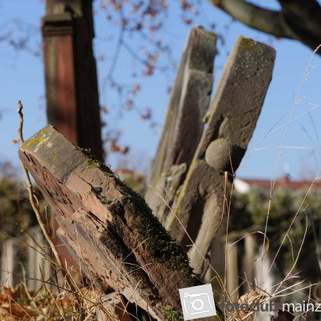 2018 Worms Jüdischer Friedhof