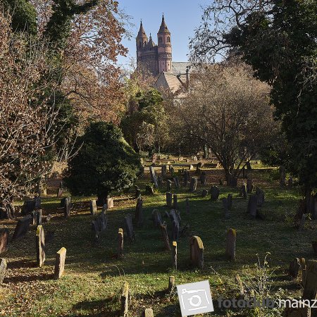 2018 Worms Jüdischer Friedhof