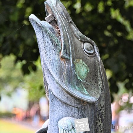 Galerien