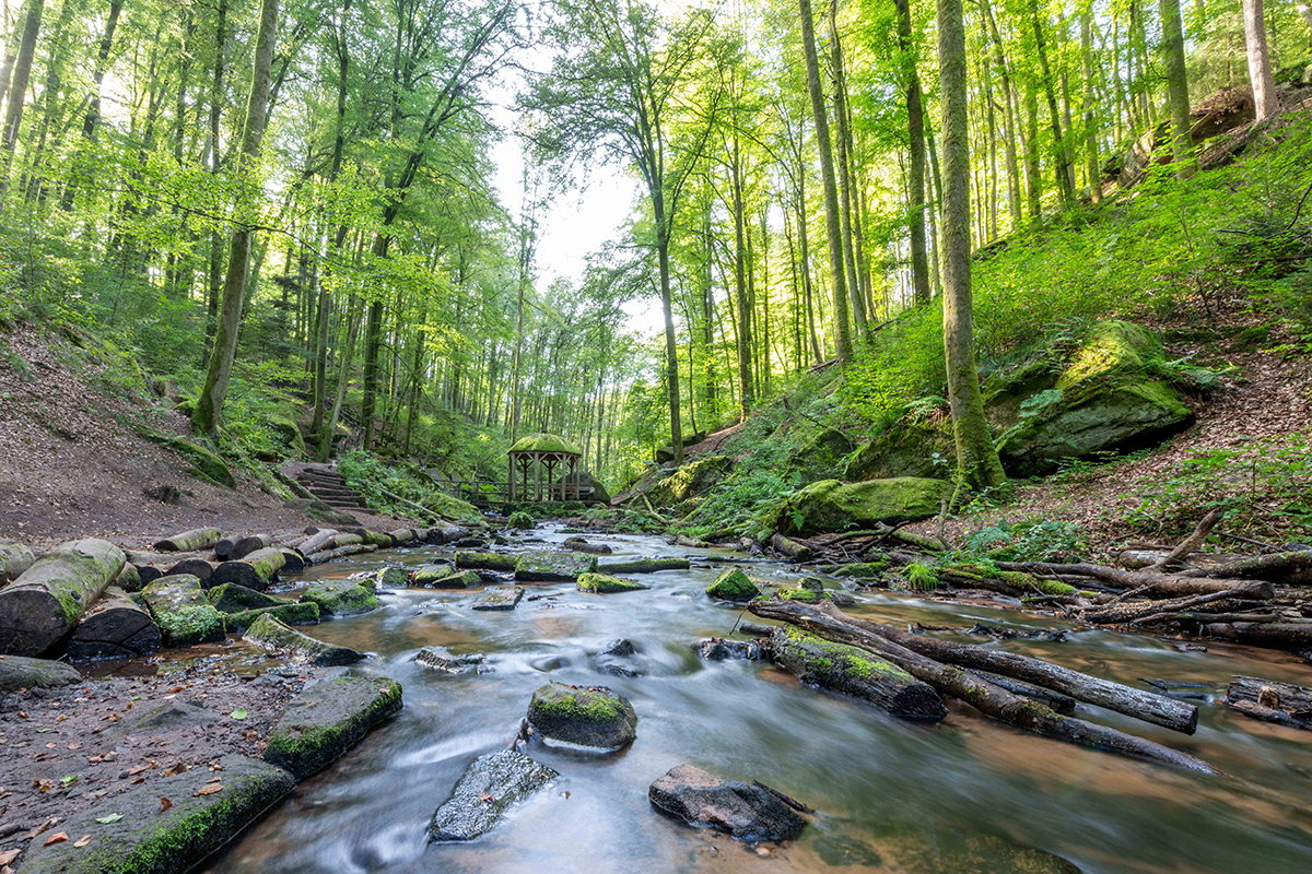 Ausflug in den Pfälzer Wald: Karlstal