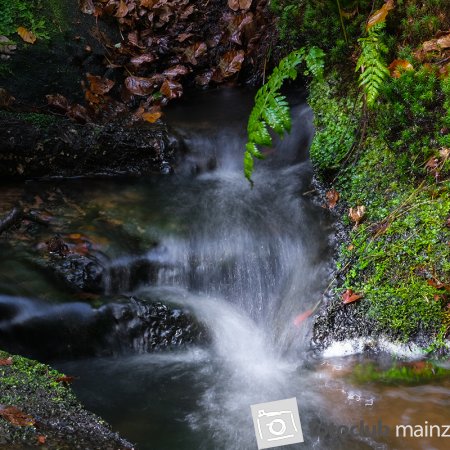 2023 Karlstalschlucht - Moni Besier - 002