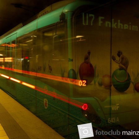 2024 U-Bahnfotografie Frankfurt - Paola Ranft &quot;Die Tierbahn&quot;
