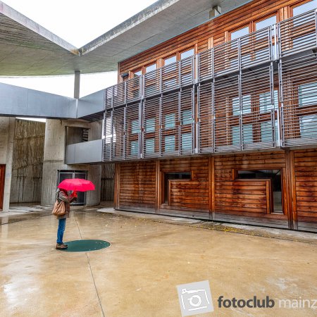 2025 Hombroich &amp; Düsseldorf - Heiner Holland: &quot;Architektur&quot;