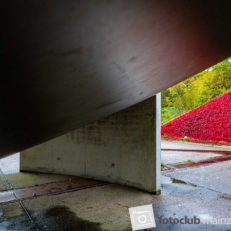 2025 Hombroich &amp; Düsseldorf - Heiner Holland: &quot;Durchblick&quot;