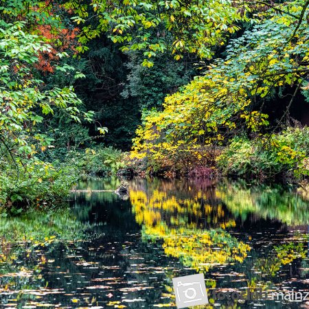 2025 Hombroich &amp; Düsseldorf - Heiner Holland: &quot;Spiegelung&quot;