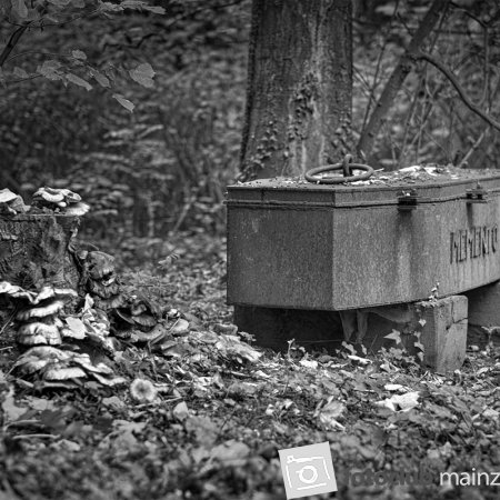 2025 Hombroich &amp; Düsseldorf - Michael Mager: &quot;Sarg SW&quot;