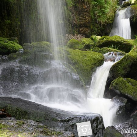 2026_Mitglied_Dieter_Rubner_Im Schwarzwald