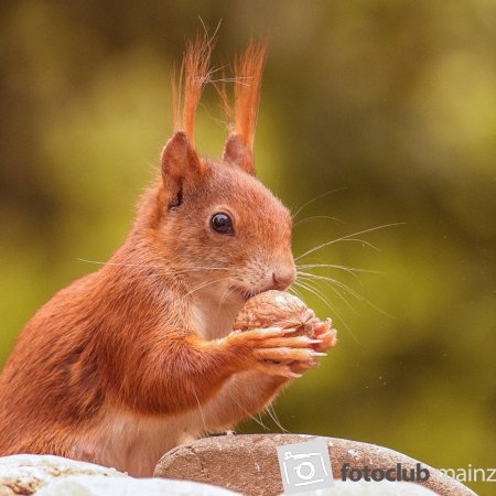 Mahlzeit!