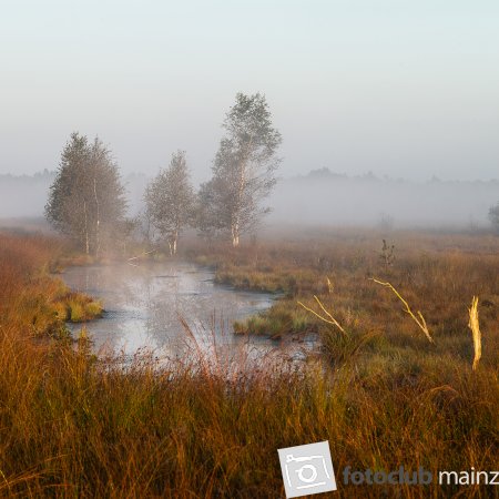 MorgenMoor