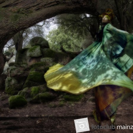 Waldgeist