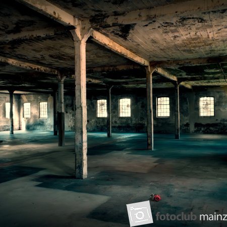 2025: "Zeitgeschehen"