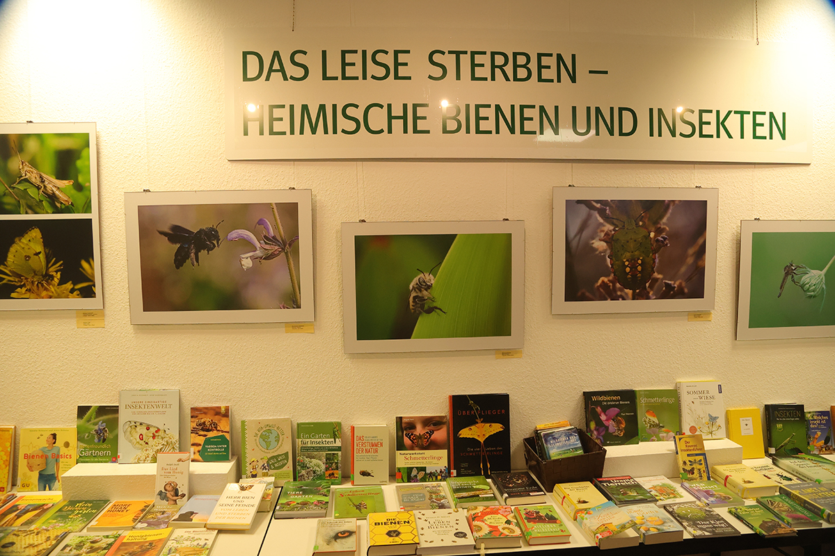 Auftakt zur Ausstellung "Insekten" in der Anna Seghers Bücherei 