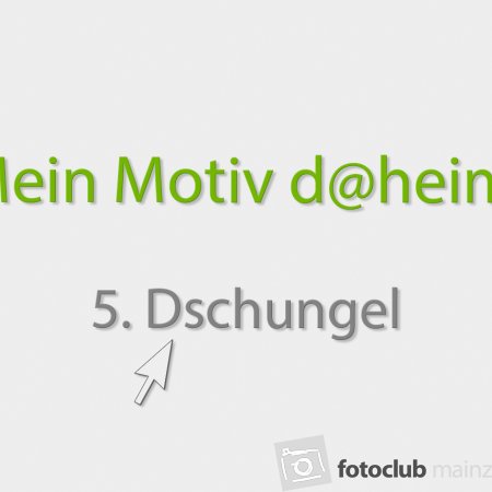 mein_motiv_dheim_6_schwarz-weiss_236