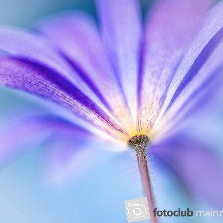 2021 - Frühling
