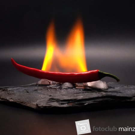 Bild des Monats