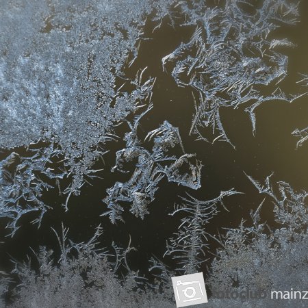 2025 Mein Bild - Michael Mager: &quot;Schneemann&quot;