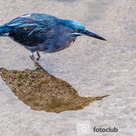 2025 Mein Bild - Doris Holland: &quot;Galapagos&quot;