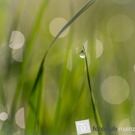 Mein Bild